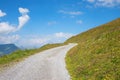 alpine hiking way with curve, flower meadow beside, blue sky with clouds