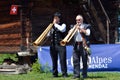 Alpine Horn Festival Royalty Free Stock Photo