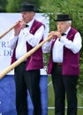 Alpine Horn Festival Royalty Free Stock Photo