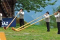 Alpine Horns Royalty Free Stock Photo