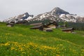 Alpine houses near Grindelwald Royalty Free Stock Photo