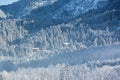 Alpine hut in wintery forest, Bavaria, Germany Royalty Free Stock Photo