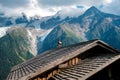 Alpine ibex, capra, resting bucolic on the roofs of alpine huts, typical image for tourists