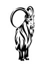 Capricorn mountain goat black and white vector design Royalty Free Stock Photo