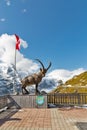Alpine ibex statue on mountain at Grossglockner area in Austria.