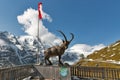 Alpine ibex statue on mountain at Grossglockner area in Austria.