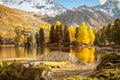 Alpine lake with larches Royalty Free Stock Photo