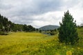 Alpine lake and mountain landscape with meadow and spruce and pine trees