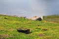 Alpine lake Nesamovyte on summer mountains Royalty Free Stock Photo