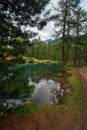 Alpine lake in a pine forest in Rhemes Notre Dame