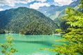 Alpine lake Ritsa in Abkhazia Royalty Free Stock Photo