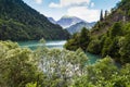 Alpine lake Ritsa in Abkhazia Royalty Free Stock Photo