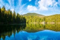 alpine lake synevyr in carpathian mountains in morning light Royalty Free Stock Photo