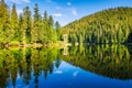 alpine lake synevyr in carpathian mountains in morning light Royalty Free Stock Photo