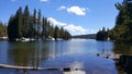 Alpine lake with timber in the front and with forest in background.