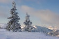 Alpine landscape