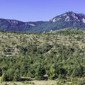 Alpine landscape in southeastern France Royalty Free Stock Photo