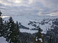 Alpine Landscape