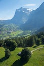 alpine landscape Grindelwald, view to Wetterhorn mountain and tourist resort