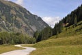 Alpine Landscape with guesthouse, Austria, Europe