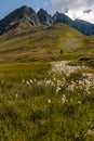 Alpine landscape in the Lord of the Rings style. In the foreground is a grassy expanse with a strip of Cotton Grass, Eriophorum Royalty Free Stock Photo