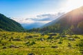 Alpine landscape, mountain stream in idyllic environment amid rocks meadows and forest. Sunburst at sunrise, the italian Alps Royalty Free Stock Photo