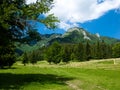 Alpine landscape in Romania Royalty Free Stock Photo