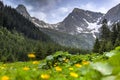 Alpine landscape, Romania Royalty Free Stock Photo