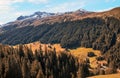 Alpine landscape sertig valley with forest and mountain range