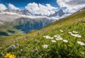 An alpine landscape with snow-capped peaks and wildflowers