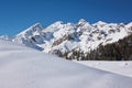 Alpine landscape