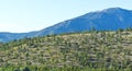 Alpine landscape in southeastern France Royalty Free Stock Photo