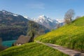 Alpine landscape in spring