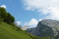 Alpine landscape In the springtime with a meadow, hills covered by coniferous woods and mountains Royalty Free Stock Photo