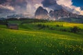 Alpine landscape with yellow globeflowers on the green slopes, Dolomites