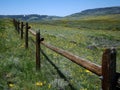 Alpine Meadow Royalty Free Stock Photo