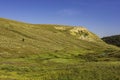 Alpine Meadow Bighorn National Forest Wyoming USA