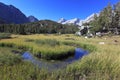 Alpine meadow in California mountains