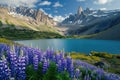 Alpine Meadow with Lupines and Mountain View