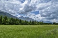 Alpine Meadow near the border between Slovenia and Italyy