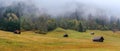 Alpine  meadow near lake Geroldee or Wagenbruchsee, Germany Royalty Free Stock Photo