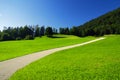 Alpine meadow and road Royalty Free Stock Photo