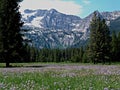 Alpine Meadow and Sawtooth Mountains Near Stanley, Idaho 7 Royalty Free Stock Photo