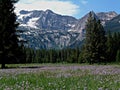 Alpine Meadow and Sawtooth Mountains Near Stanley, Idaho 8 Royalty Free Stock Photo