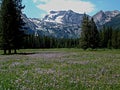 Alpine Meadow and Sawtooth Mountains Near Stanley, Idaho 9 Royalty Free Stock Photo