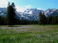 Alpine Meadow and Sawtooth Mountains Near Stanley, Idaho 4 Royalty Free Stock Photo