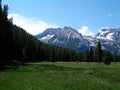 Alpine Meadow and Sawtooth Mountains Near Stanley, Idaho 3 Royalty Free Stock Photo