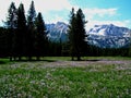 Alpine Meadow and Sawtooth Mountains Near Stanley, Idaho 6 Royalty Free Stock Photo