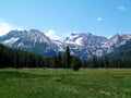 Alpine Meadow and Sawtooth Mountains Near Stanley, Idaho 1 Royalty Free Stock Photo