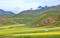 Alpine meadow scenery in Qinghai Province, China Royalty Free Stock Photo